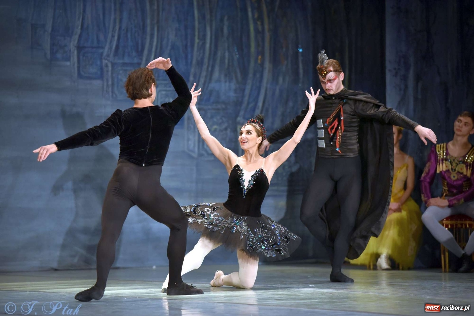 Zdjęcie w galerii na portalu naszraciborz.pl: Jezioro łabędzie. Arcydzieło Czajkowskiego na deskach RCK wiadomości z regionu