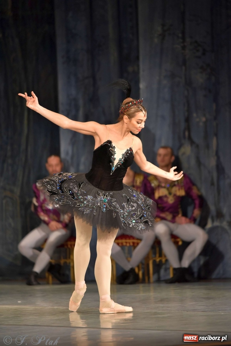 Zdjęcie w galerii na portalu naszraciborz.pl: Jezioro łabędzie. Arcydzieło Czajkowskiego na deskach RCK wiadomości z regionu