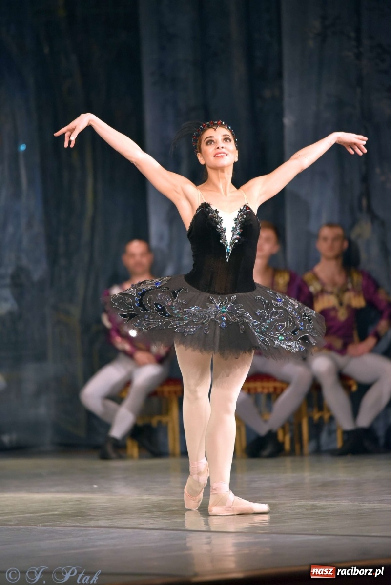 Zdjęcie w galerii na portalu naszraciborz.pl: Jezioro łabędzie. Arcydzieło Czajkowskiego na deskach RCK wiadomości z regionu