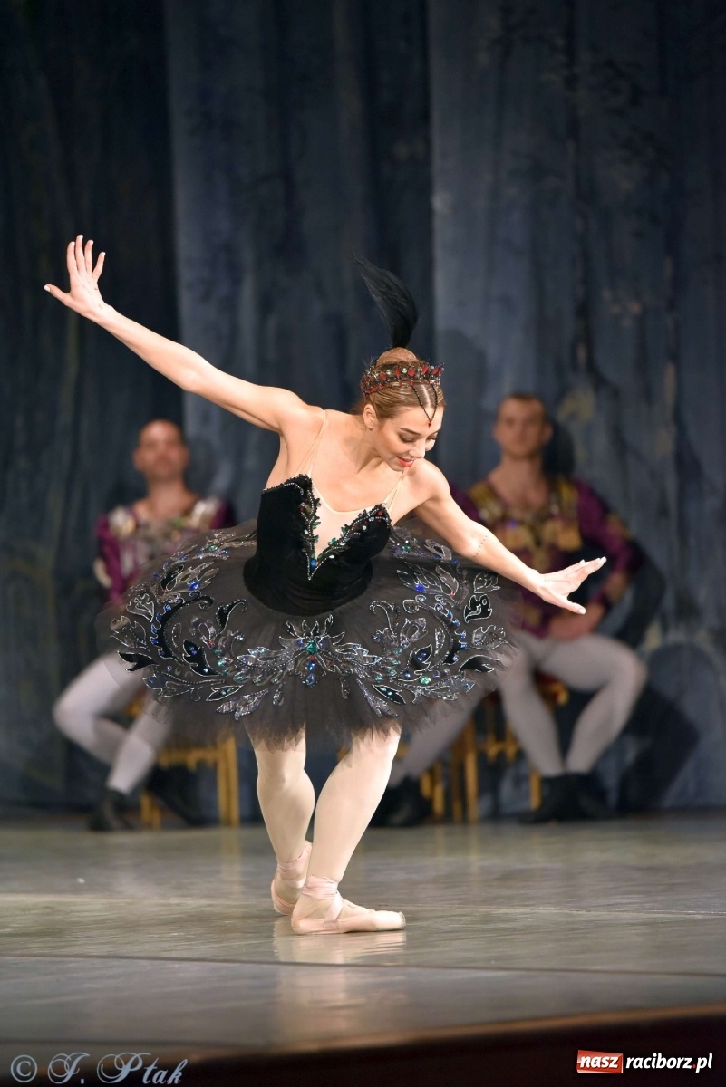 Zdjęcie w galerii na portalu naszraciborz.pl: Jezioro łabędzie. Arcydzieło Czajkowskiego na deskach RCK wiadomości z regionu