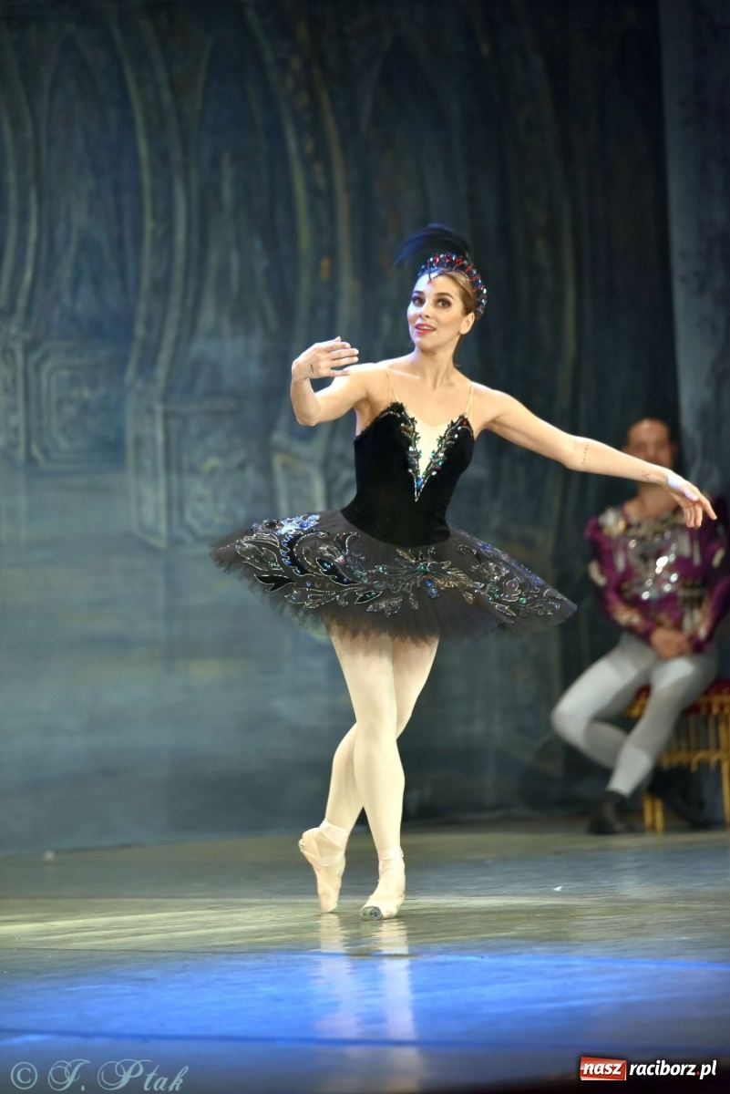 Zdjęcie w galerii na portalu naszraciborz.pl: Jezioro łabędzie. Arcydzieło Czajkowskiego na deskach RCK wiadomości z regionu