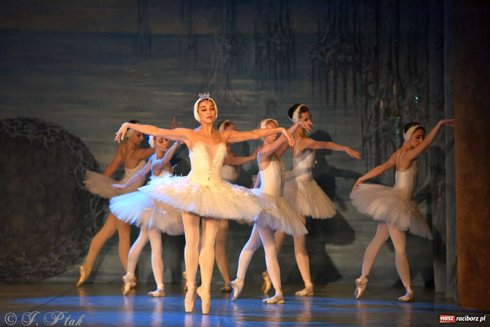 Zdjęcie w galerii na portalu naszraciborz.pl: Jezioro łabędzie. Arcydzieło Czajkowskiego na deskach RCK wiadomości z regionu