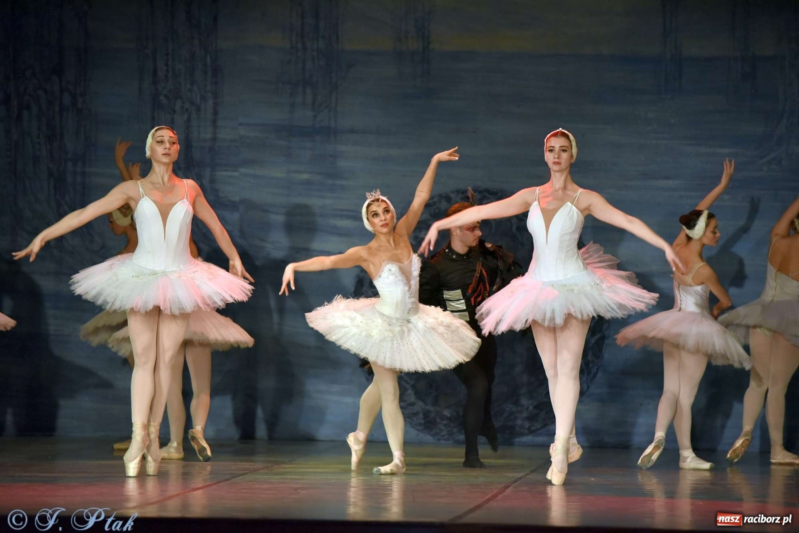 Zdjęcie w galerii na portalu naszraciborz.pl: Jezioro łabędzie. Arcydzieło Czajkowskiego na deskach RCK wiadomości z regionu