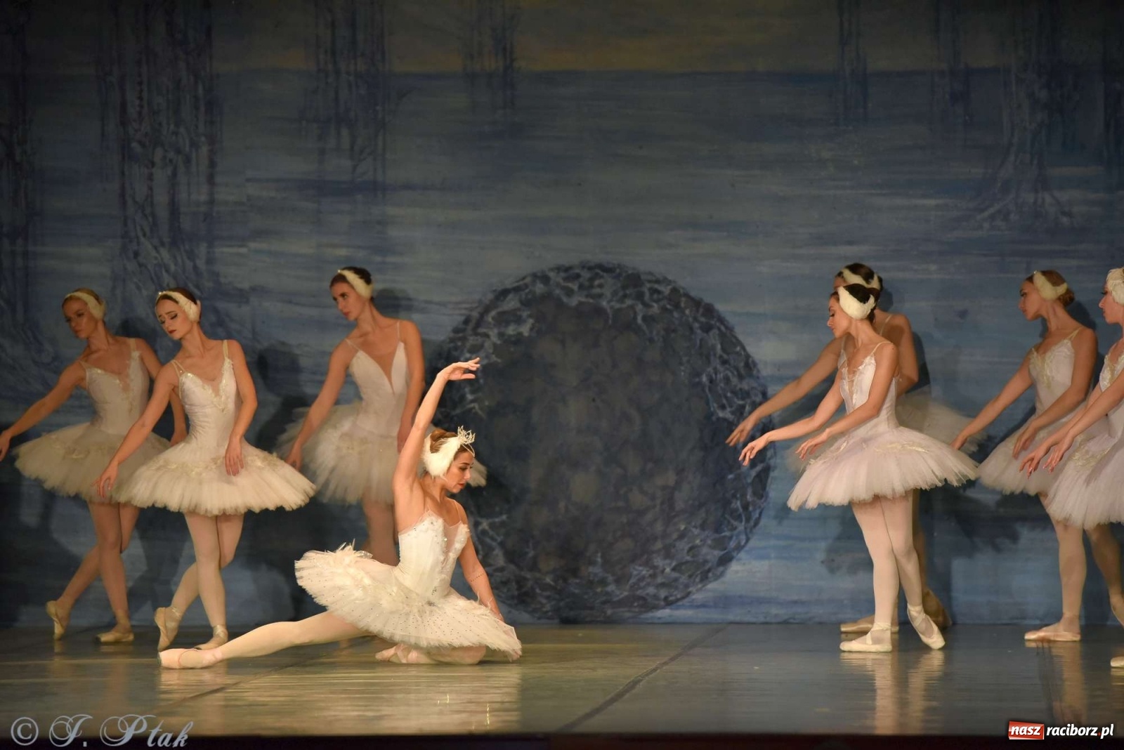 Zdjęcie w galerii na portalu naszraciborz.pl: Jezioro łabędzie. Arcydzieło Czajkowskiego na deskach RCK wiadomości z regionu