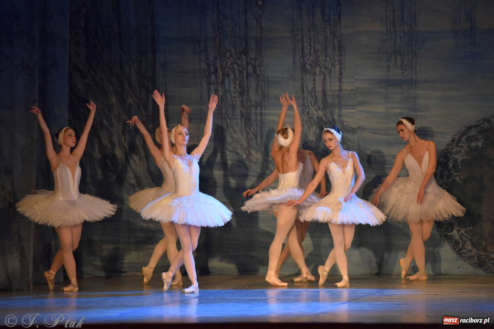 Zdjęcie w galerii na portalu naszraciborz.pl: Jezioro łabędzie. Arcydzieło Czajkowskiego na deskach RCK wiadomości z regionu