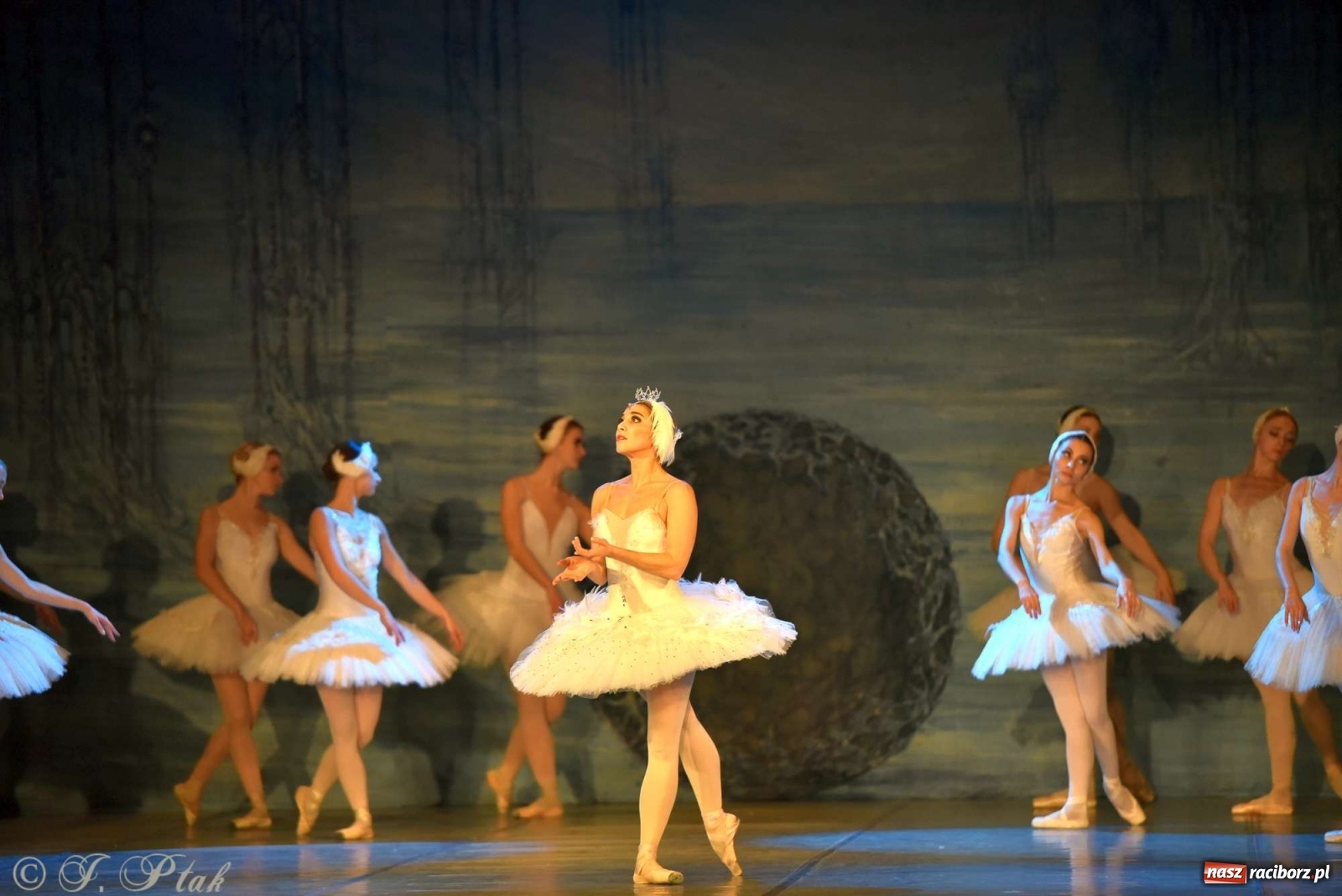 Zdjęcie w galerii na portalu naszraciborz.pl: Jezioro łabędzie. Arcydzieło Czajkowskiego na deskach RCK wiadomości z regionu