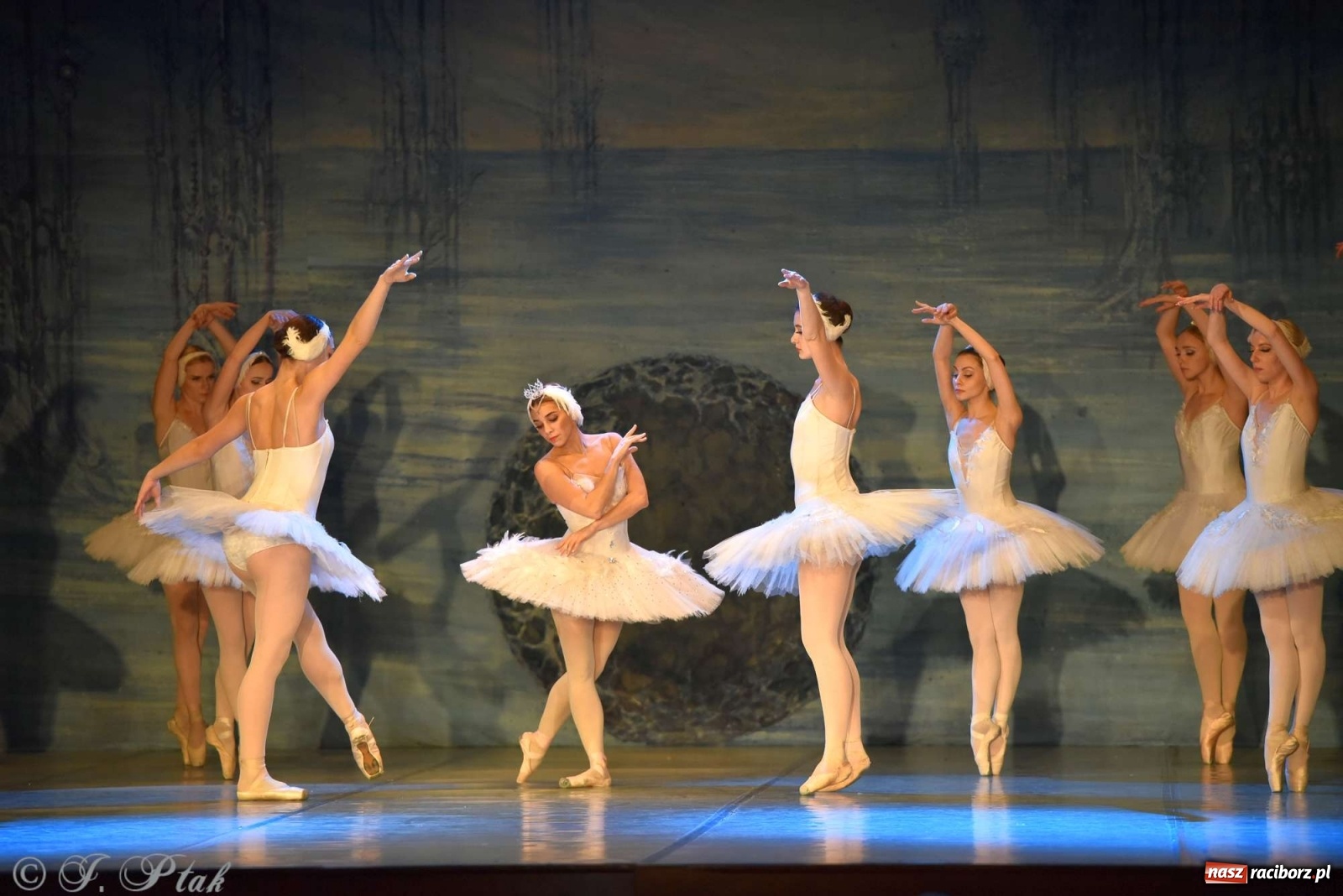 Zdjęcie w galerii na portalu naszraciborz.pl: Jezioro łabędzie. Arcydzieło Czajkowskiego na deskach RCK wiadomości z regionu