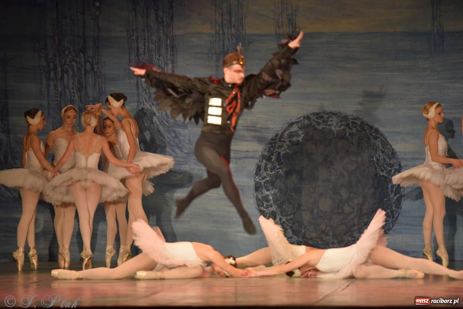 Zdjęcie w galerii na portalu naszraciborz.pl: Jezioro łabędzie. Arcydzieło Czajkowskiego na deskach RCK wiadomości z regionu