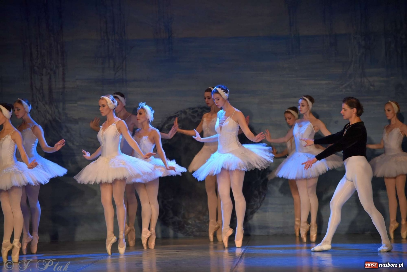 Zdjęcie w galerii na portalu naszraciborz.pl: Jezioro łabędzie. Arcydzieło Czajkowskiego na deskach RCK wiadomości z regionu