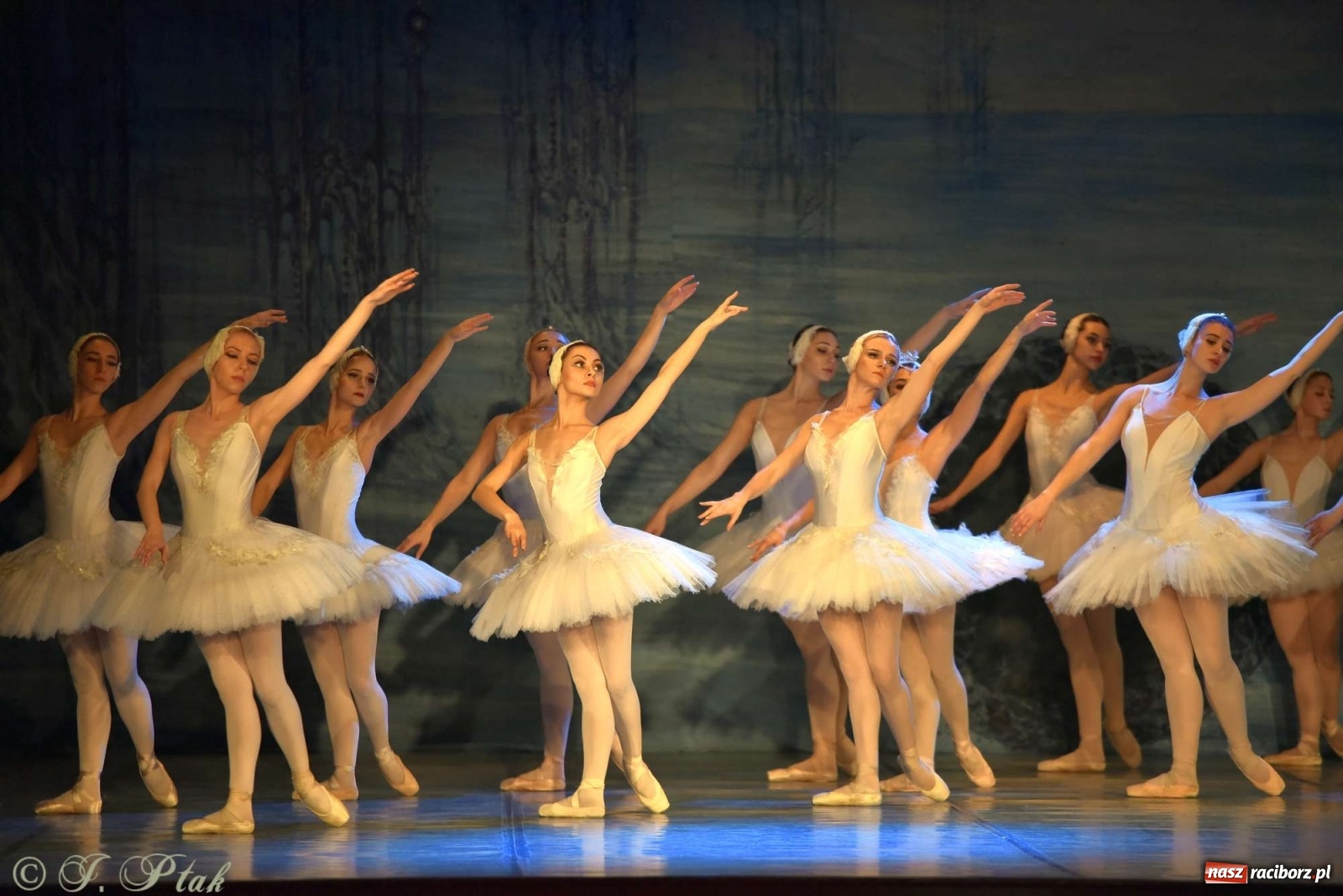 Zdjęcie w galerii na portalu naszraciborz.pl: Jezioro łabędzie. Arcydzieło Czajkowskiego na deskach RCK wiadomości z regionu