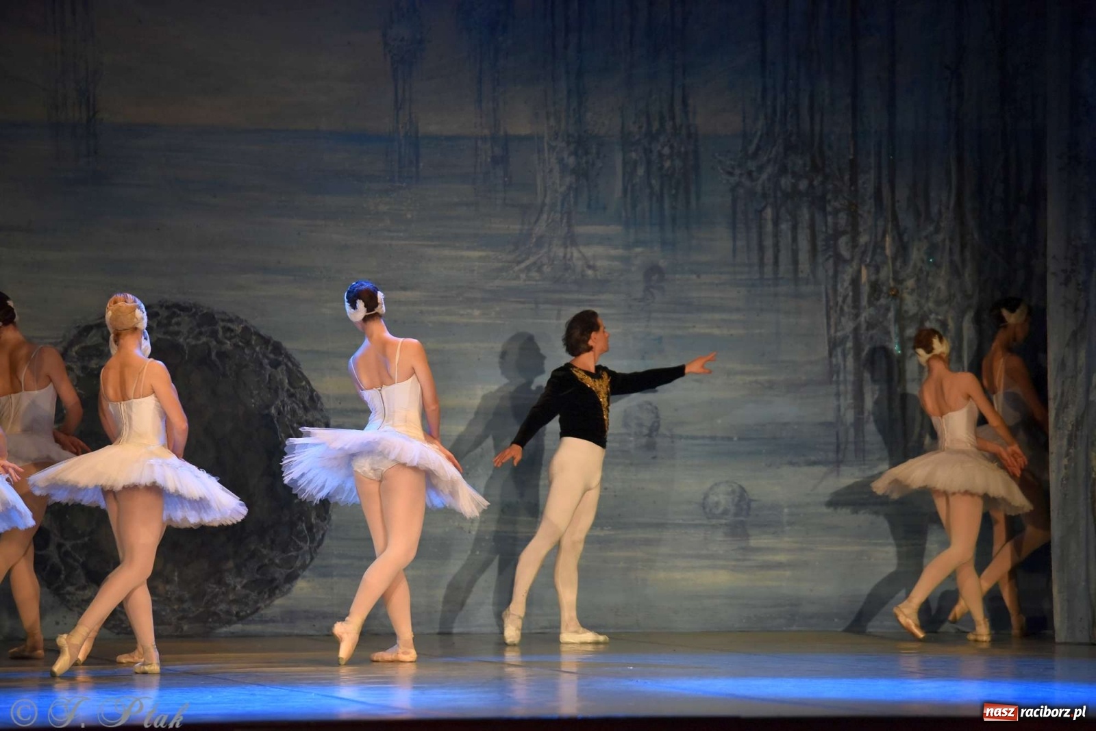 Zdjęcie w galerii na portalu naszraciborz.pl: Jezioro łabędzie. Arcydzieło Czajkowskiego na deskach RCK wiadomości z regionu