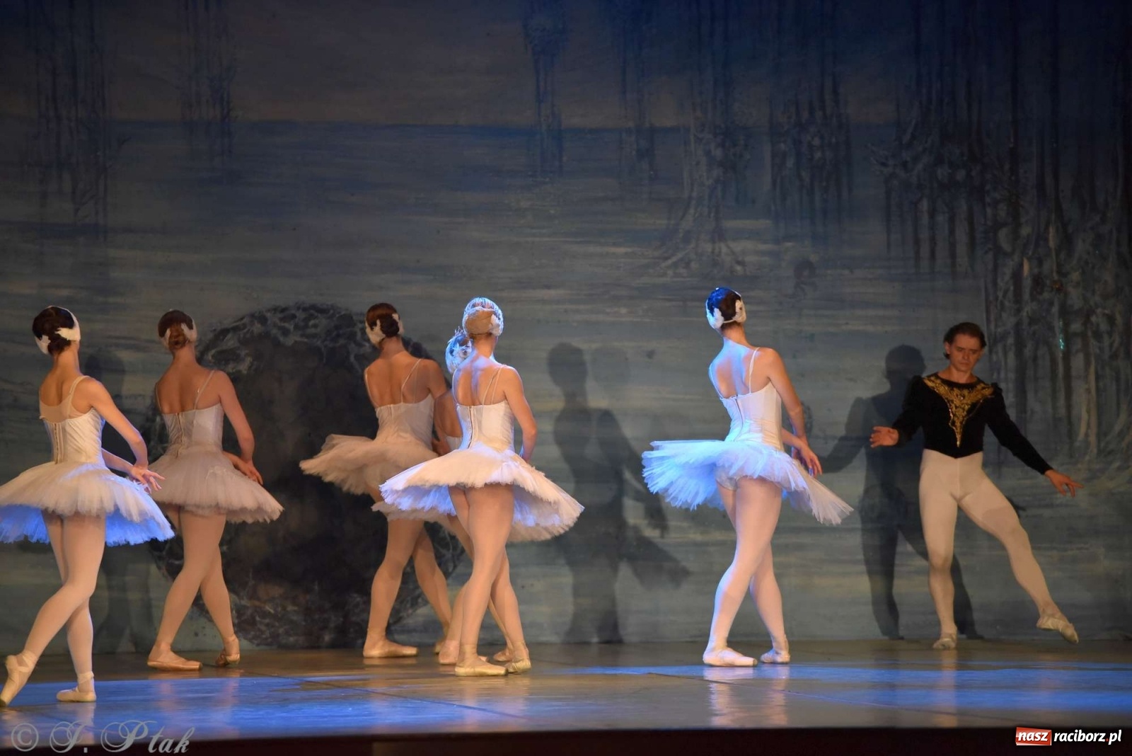 Zdjęcie w galerii na portalu naszraciborz.pl: Jezioro łabędzie. Arcydzieło Czajkowskiego na deskach RCK wiadomości z regionu