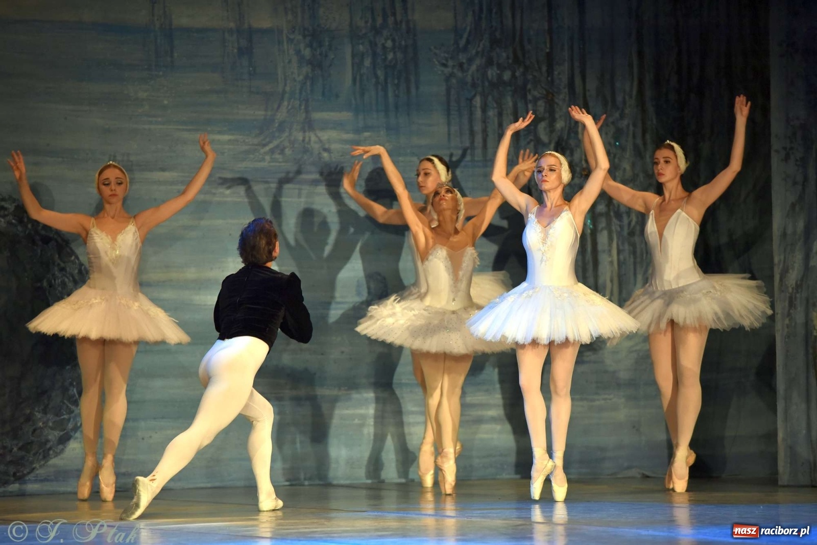 Zdjęcie w galerii na portalu naszraciborz.pl: Jezioro łabędzie. Arcydzieło Czajkowskiego na deskach RCK wiadomości z regionu