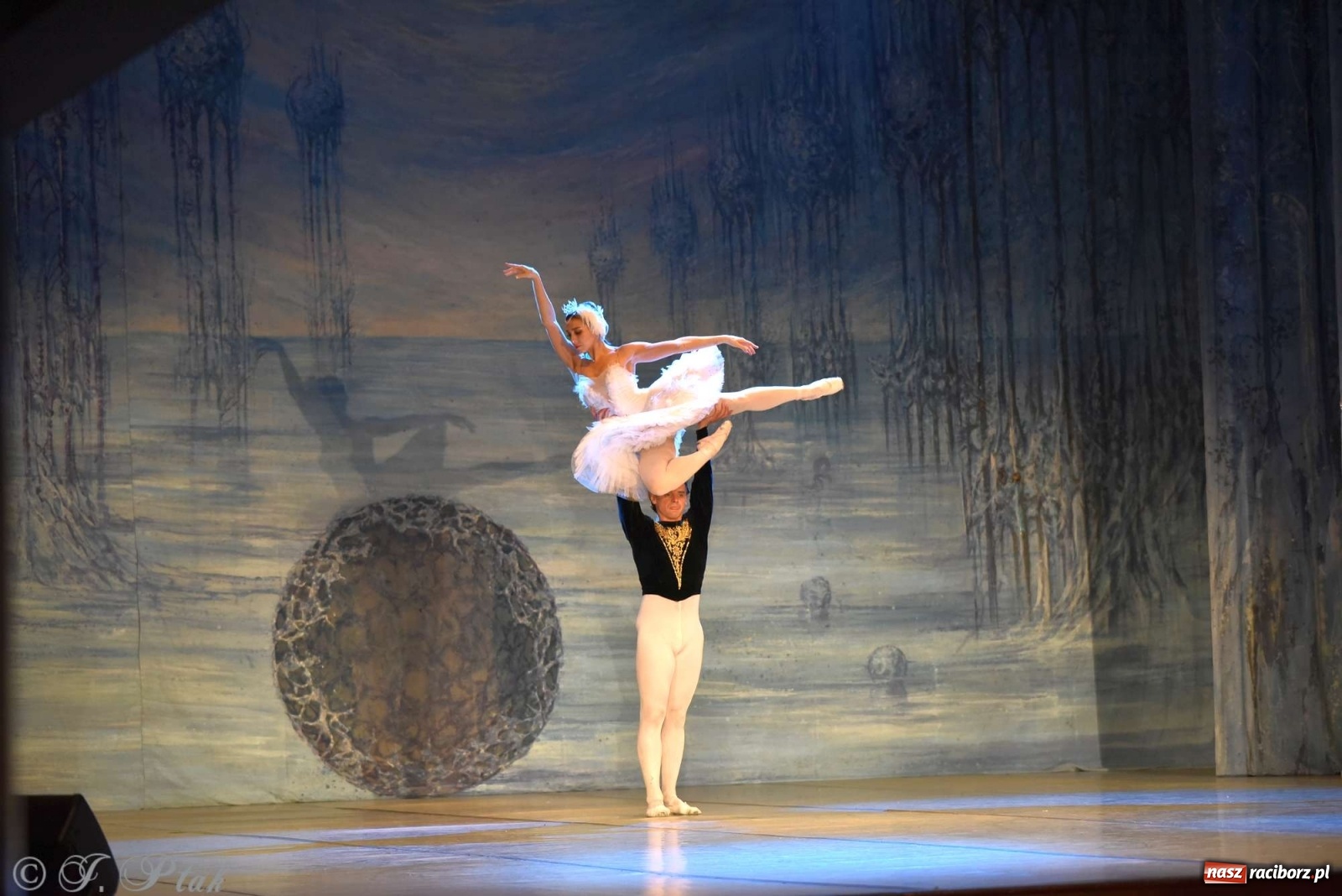 Zdjęcie w galerii na portalu naszraciborz.pl: Jezioro łabędzie. Arcydzieło Czajkowskiego na deskach RCK wiadomości z regionu