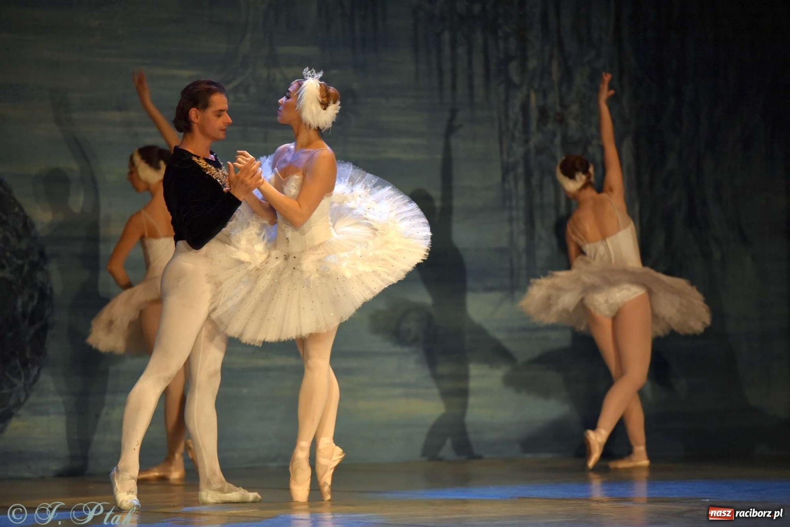 Zdjęcie w galerii na portalu naszraciborz.pl: Jezioro łabędzie. Arcydzieło Czajkowskiego na deskach RCK wiadomości z regionu