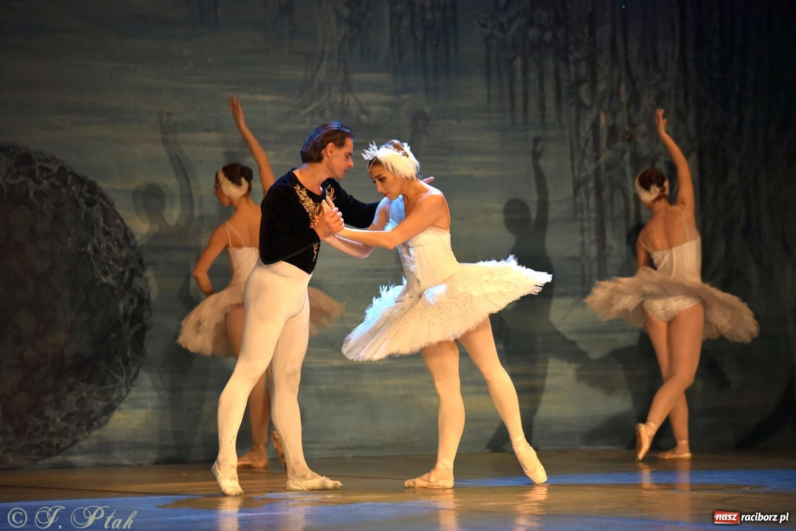 Zdjęcie w galerii na portalu naszraciborz.pl: Jezioro łabędzie. Arcydzieło Czajkowskiego na deskach RCK wiadomości z regionu