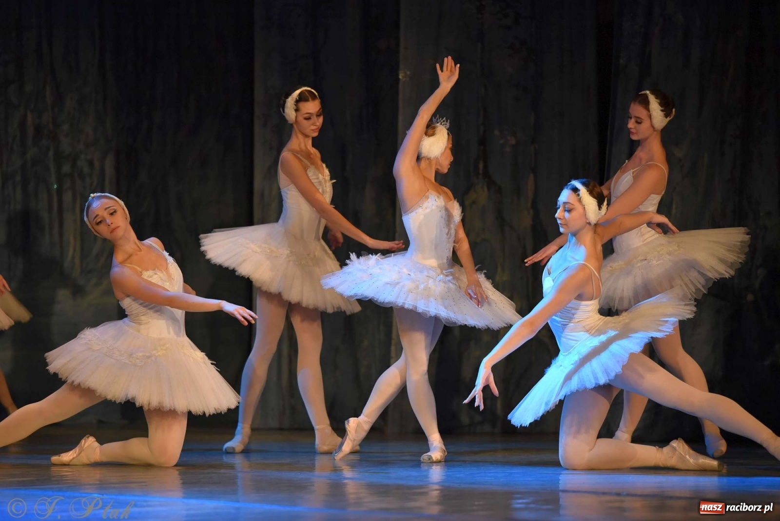 Zdjęcie w galerii na portalu naszraciborz.pl: Jezioro łabędzie. Arcydzieło Czajkowskiego na deskach RCK wiadomości z regionu