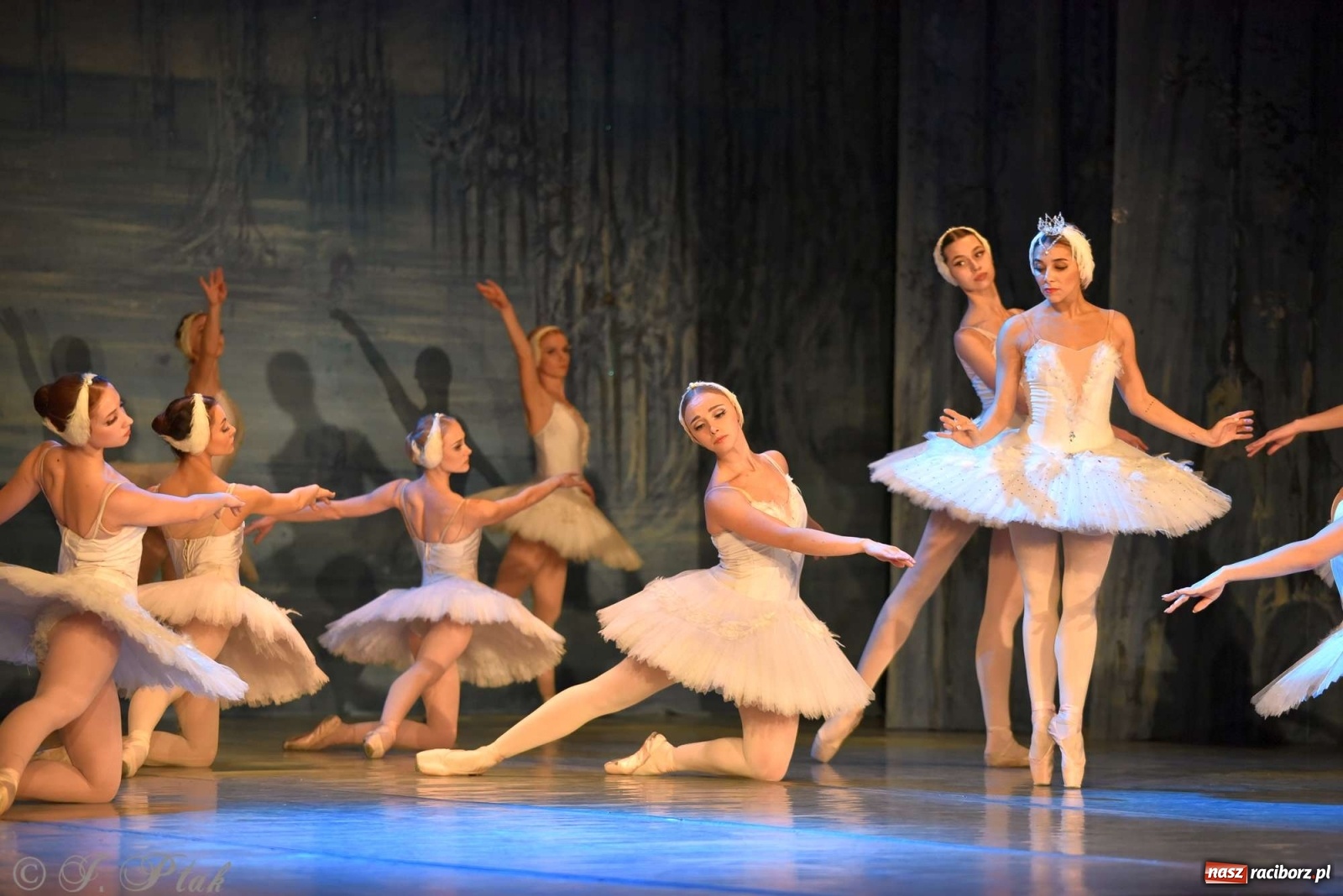 Zdjęcie w galerii na portalu naszraciborz.pl: Jezioro łabędzie. Arcydzieło Czajkowskiego na deskach RCK wiadomości z regionu