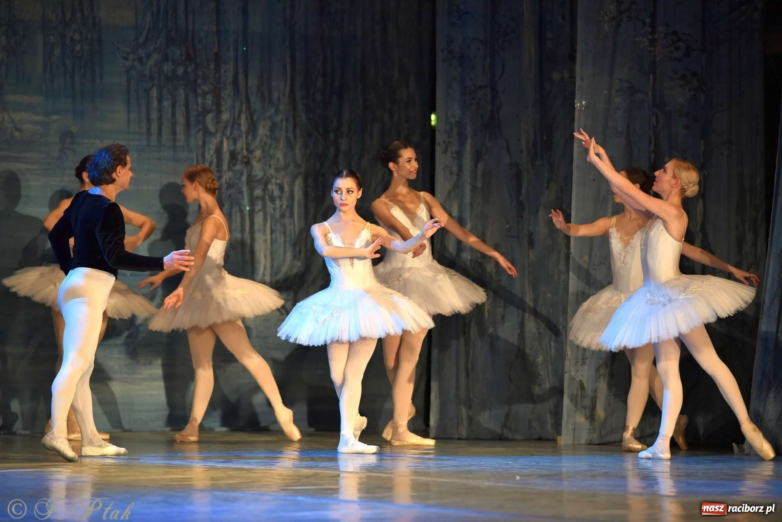 Zdjęcie w galerii na portalu naszraciborz.pl: Jezioro łabędzie. Arcydzieło Czajkowskiego na deskach RCK wiadomości z regionu