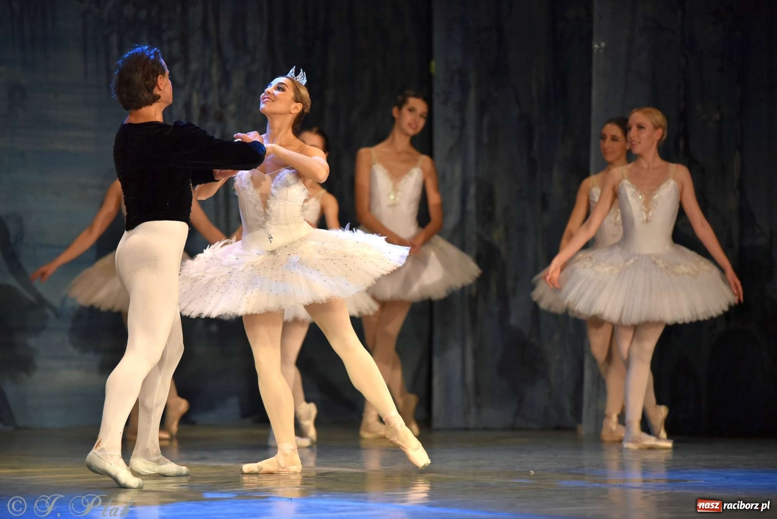 Zdjęcie w galerii na portalu naszraciborz.pl: Jezioro łabędzie. Arcydzieło Czajkowskiego na deskach RCK wiadomości z regionu