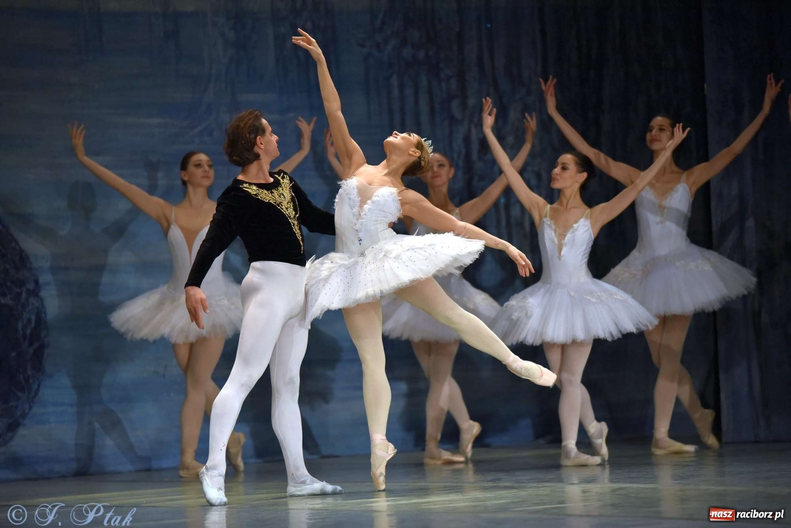 Zdjęcie w galerii na portalu naszraciborz.pl: Jezioro łabędzie. Arcydzieło Czajkowskiego na deskach RCK wiadomości z regionu