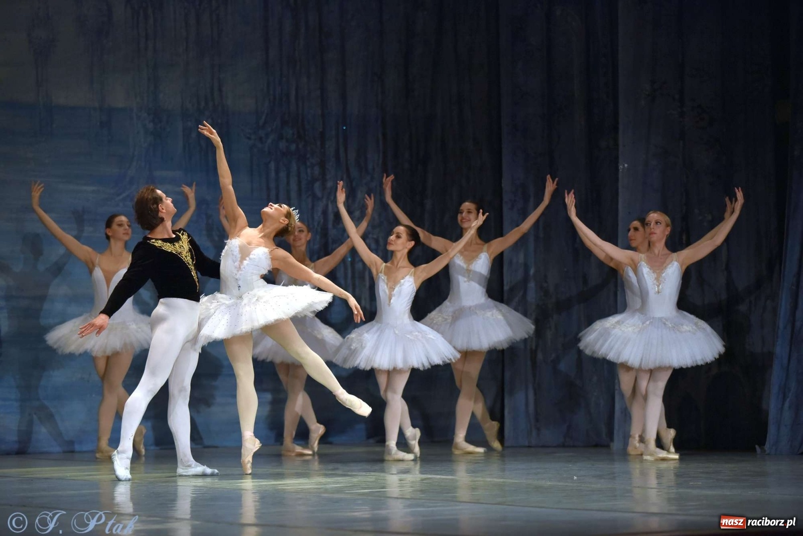 Zdjęcie w galerii na portalu naszraciborz.pl: Jezioro łabędzie. Arcydzieło Czajkowskiego na deskach RCK wiadomości z regionu