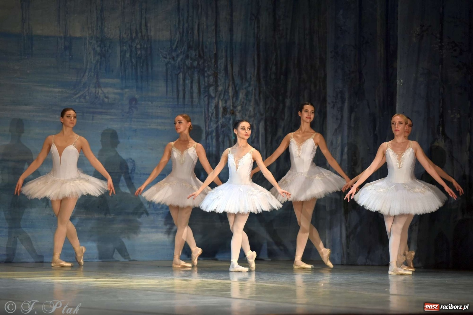 Zdjęcie w galerii na portalu naszraciborz.pl: Jezioro łabędzie. Arcydzieło Czajkowskiego na deskach RCK wiadomości z regionu