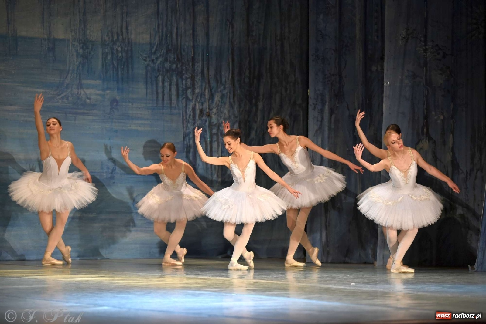 Zdjęcie w galerii na portalu naszraciborz.pl: Jezioro łabędzie. Arcydzieło Czajkowskiego na deskach RCK wiadomości z regionu