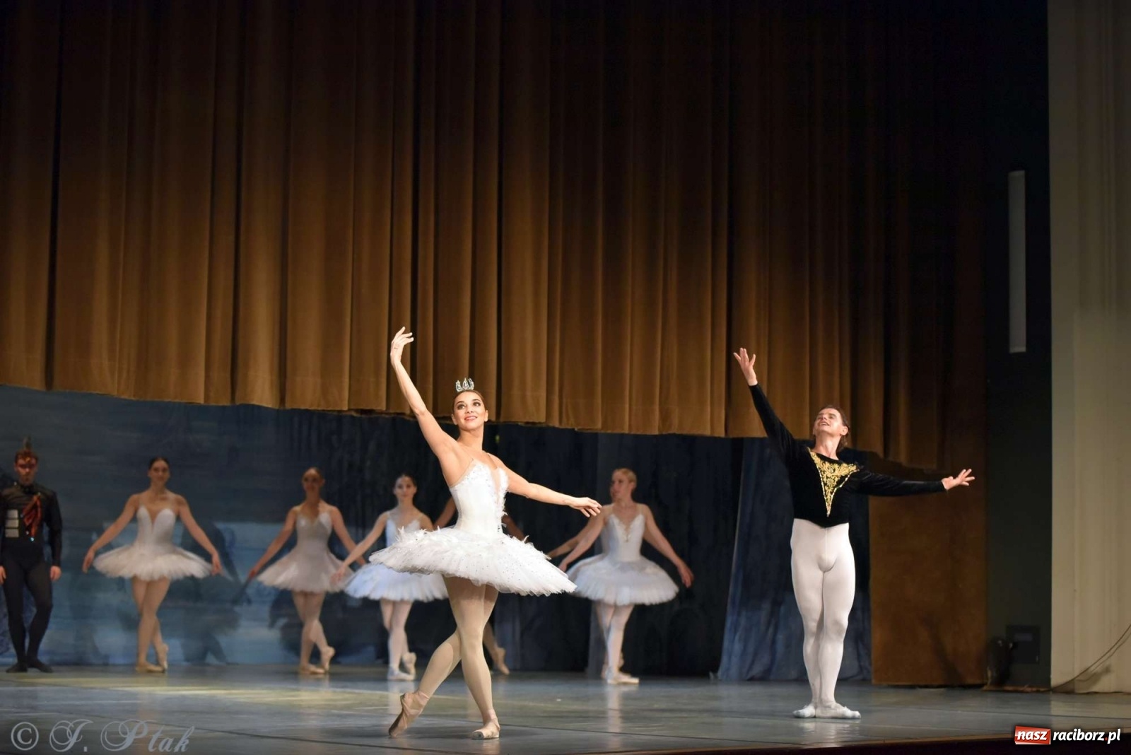 Zdjęcie w galerii na portalu naszraciborz.pl: Jezioro łabędzie. Arcydzieło Czajkowskiego na deskach RCK wiadomości z regionu