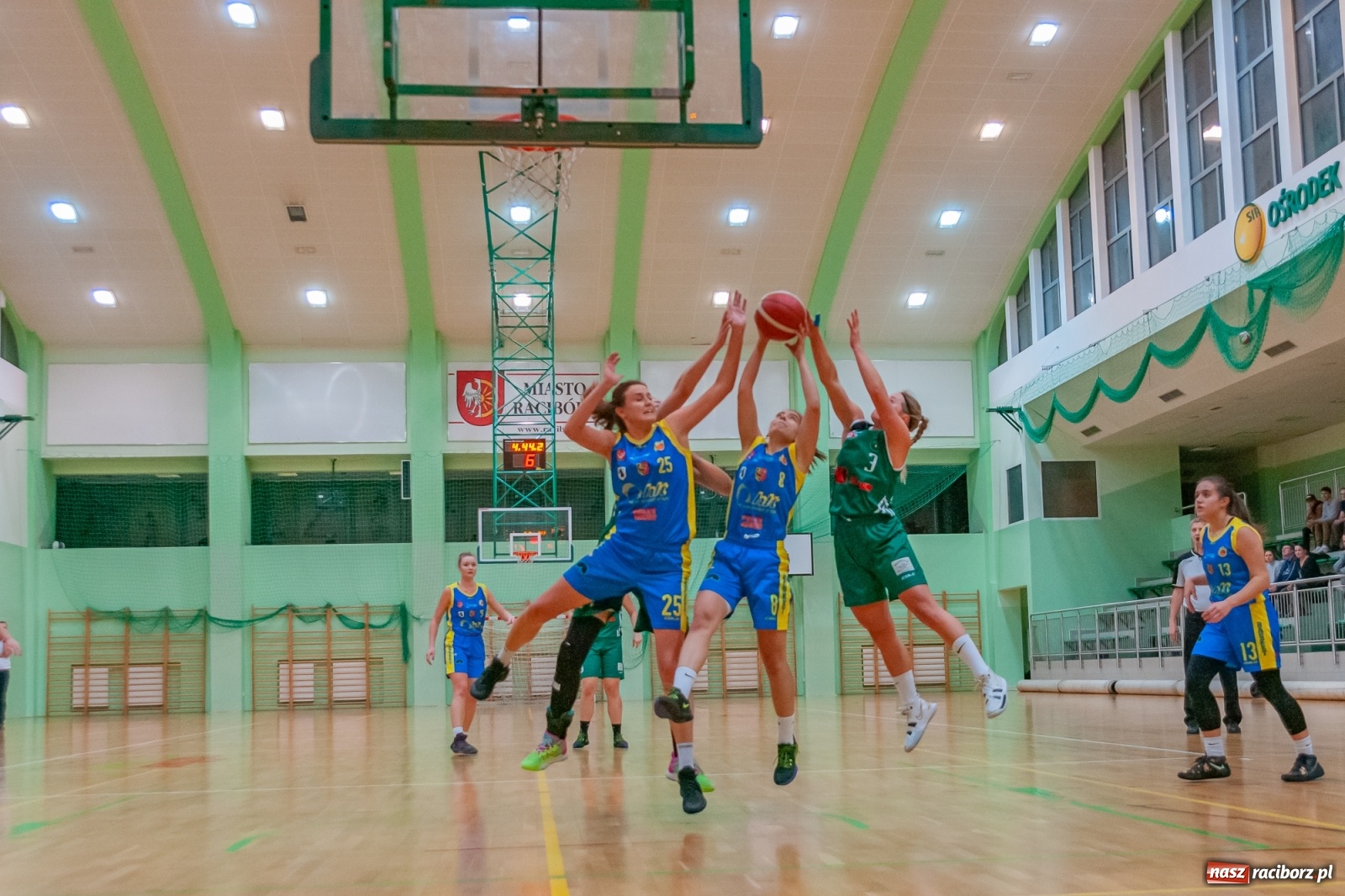 Zdjęcie w galerii na portalu naszraciborz.pl: RKK AZS Racibórz poległ u siebie [FOTO] wiadomości z regionu