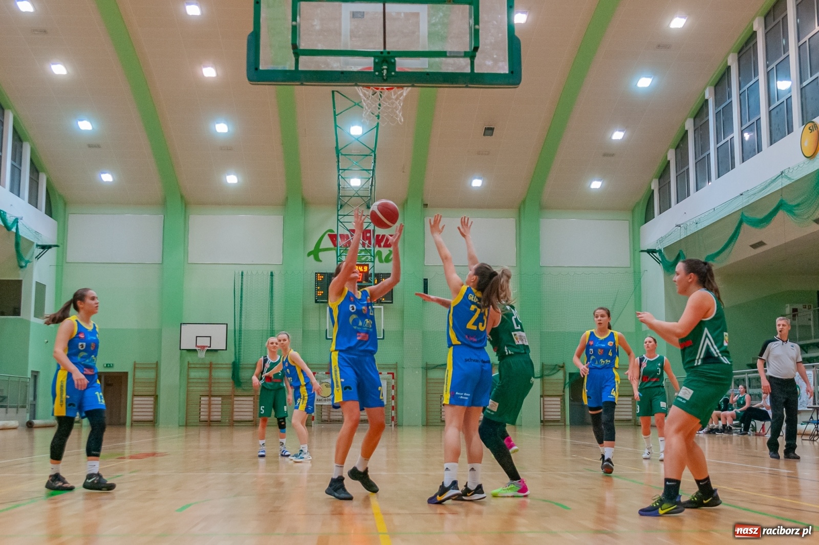 Zdjęcie w galerii na portalu naszraciborz.pl: RKK AZS Racibórz poległ u siebie [FOTO] wiadomości z regionu