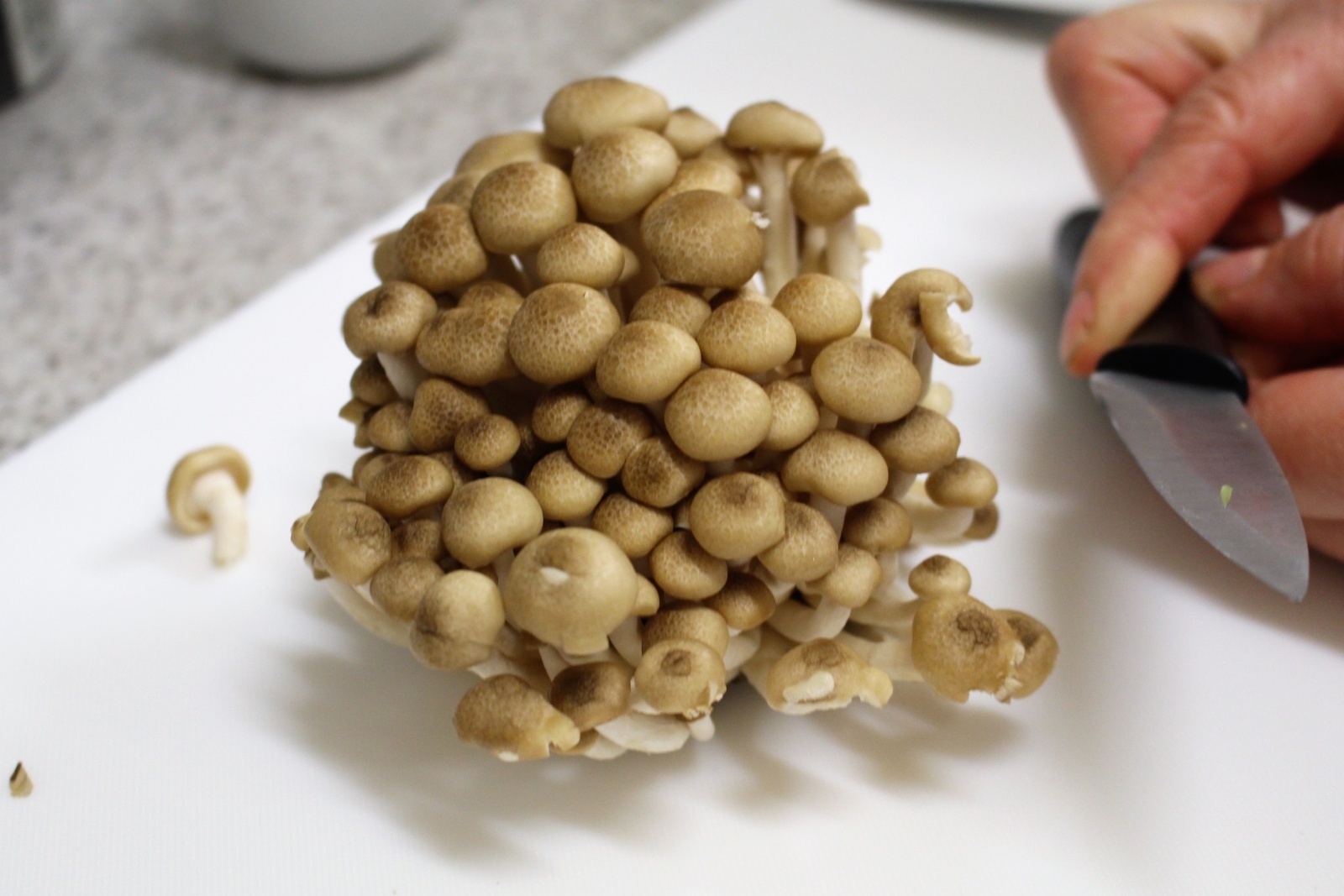 Zdjęcie w galerii na portalu naszraciborz.pl: Feeria smaków i zapachów w Nędzy. Warsztaty kulinarne z Danielem Jakubcem wiadomości z regionu