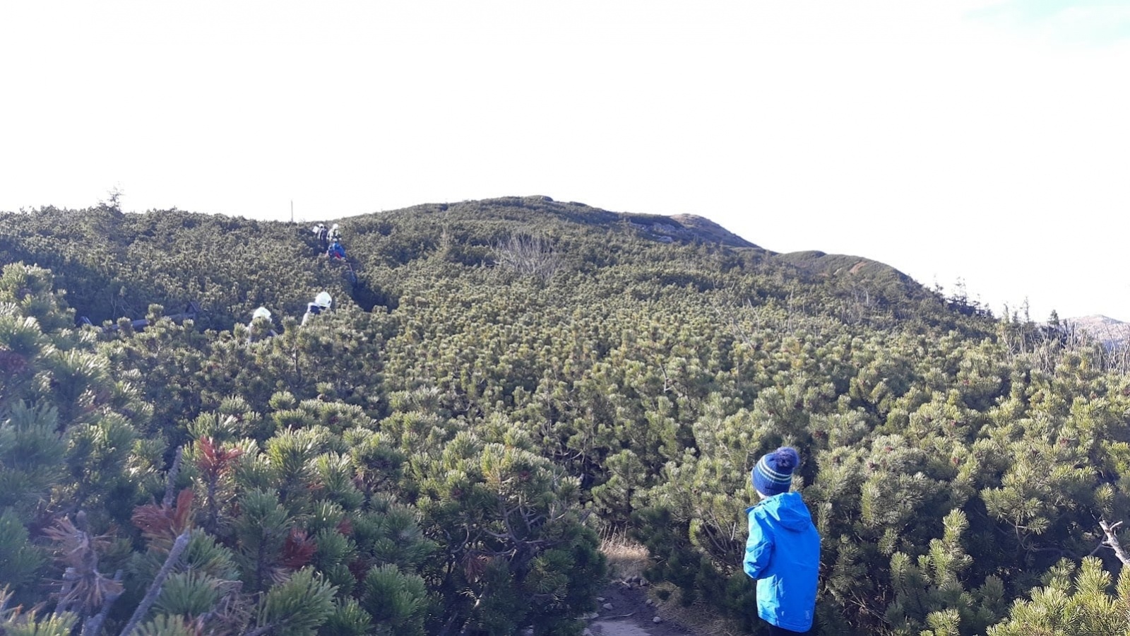 Zdjęcie w galerii na portalu naszraciborz.pl: Strażacy ochotnicy zdobyli Królową Beskidów [FOTO] wiadomości z regionu