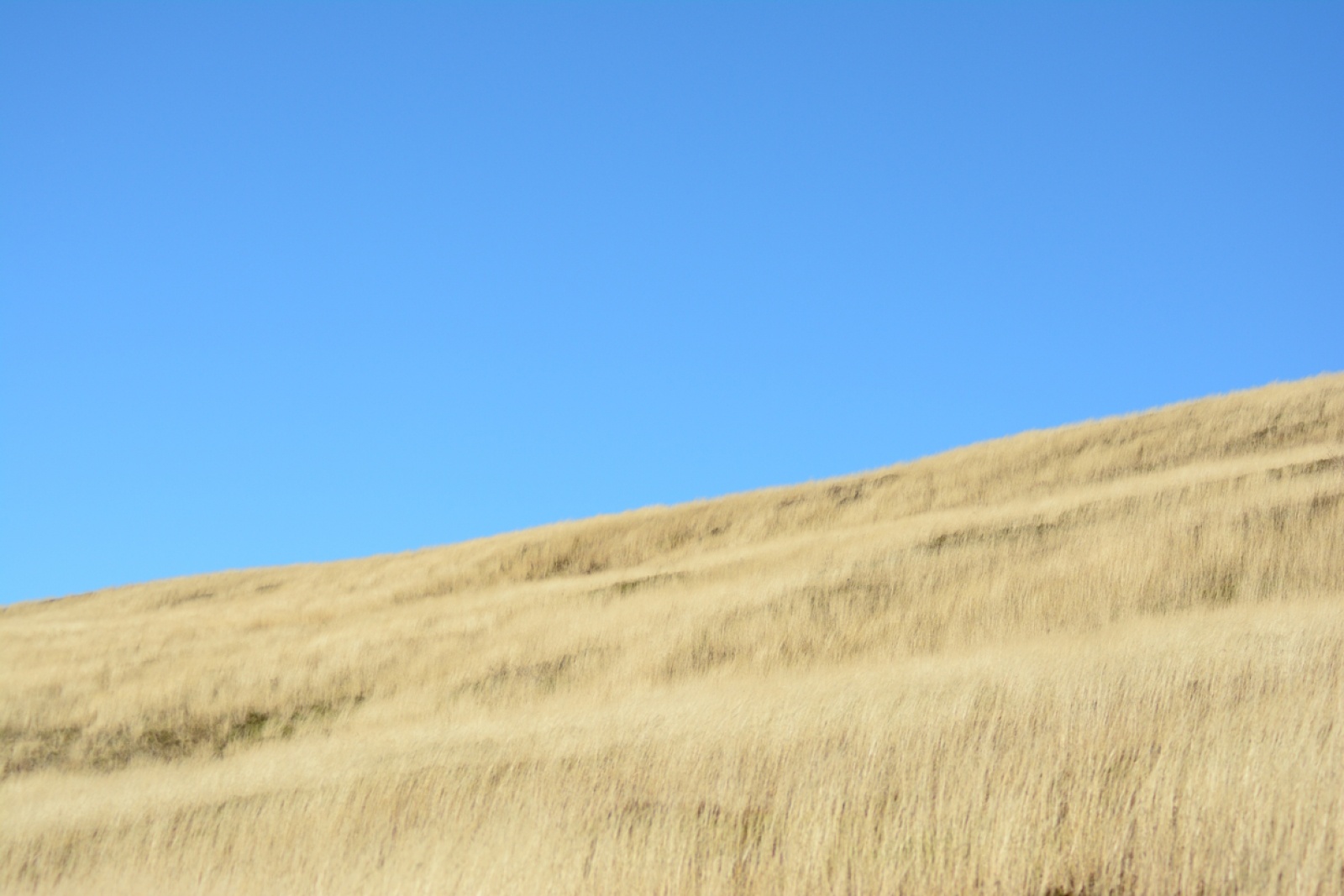 Zdjęcie w galerii na portalu naszraciborz.pl: Spojrzenia-Vzhled. Jubileuszowa wystawa FOTONu w Opawie wiadomości z regionu