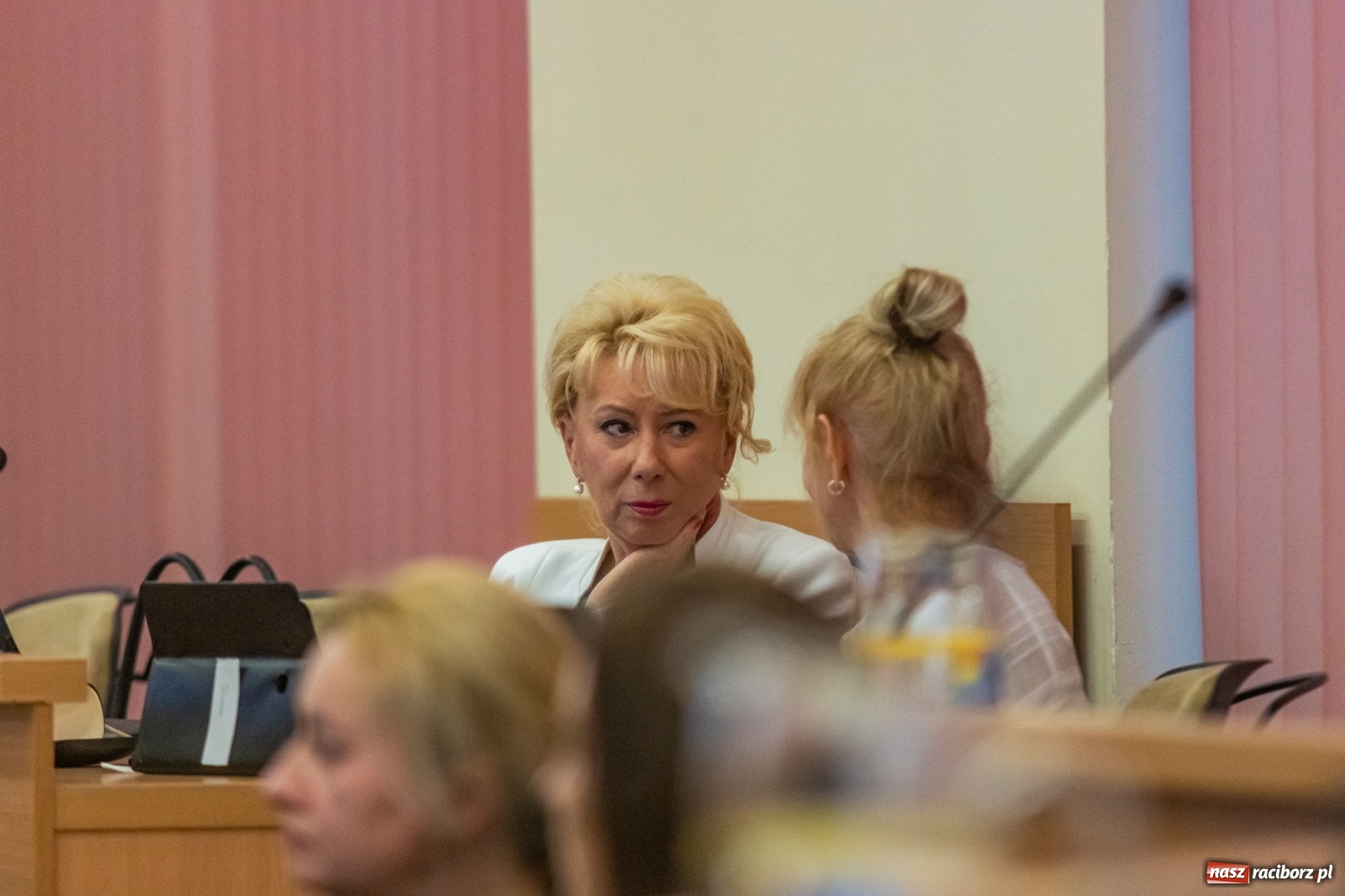 Zdjęcie w galerii na portalu naszraciborz.pl: Park Kulturowy Serce starego Raciborza – seria pytań i wątpliwości wiadomości z regionu