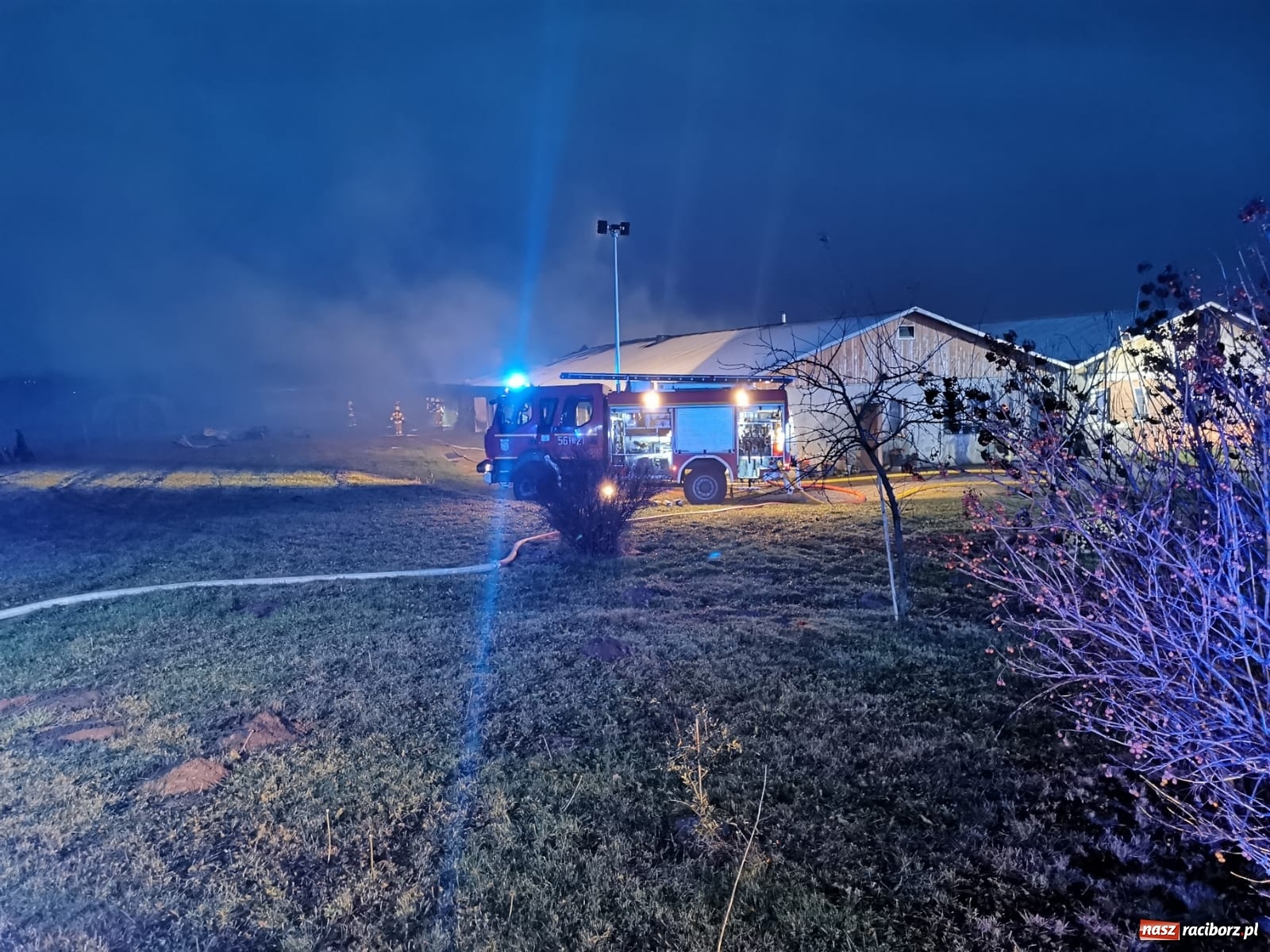 Zdjęcie w galerii na portalu naszraciborz.pl: Wielki pożar w Bieńkowicach. Spłonęły zwierzęta [FOTO] wiadomości z regionu