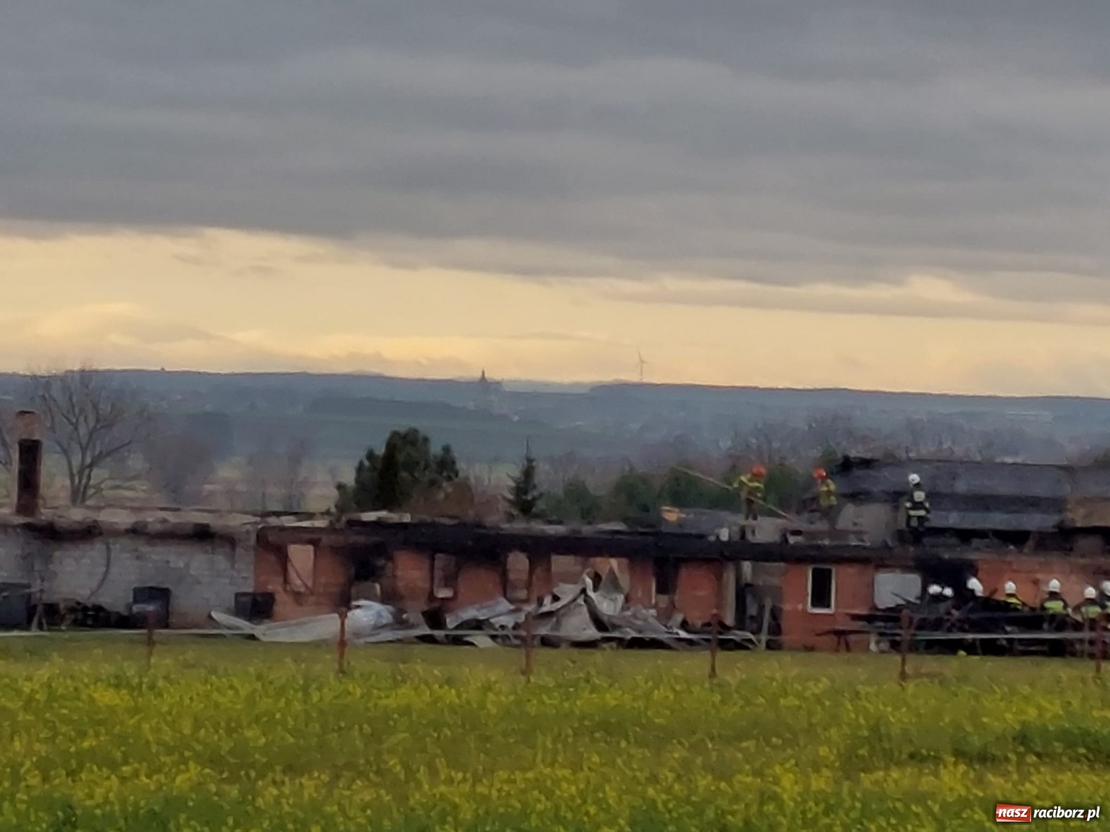 Zdjęcie w galerii na portalu naszraciborz.pl: Wielki pożar w Bieńkowicach. Spłonęły zwierzęta [FOTO] wiadomości z regionu