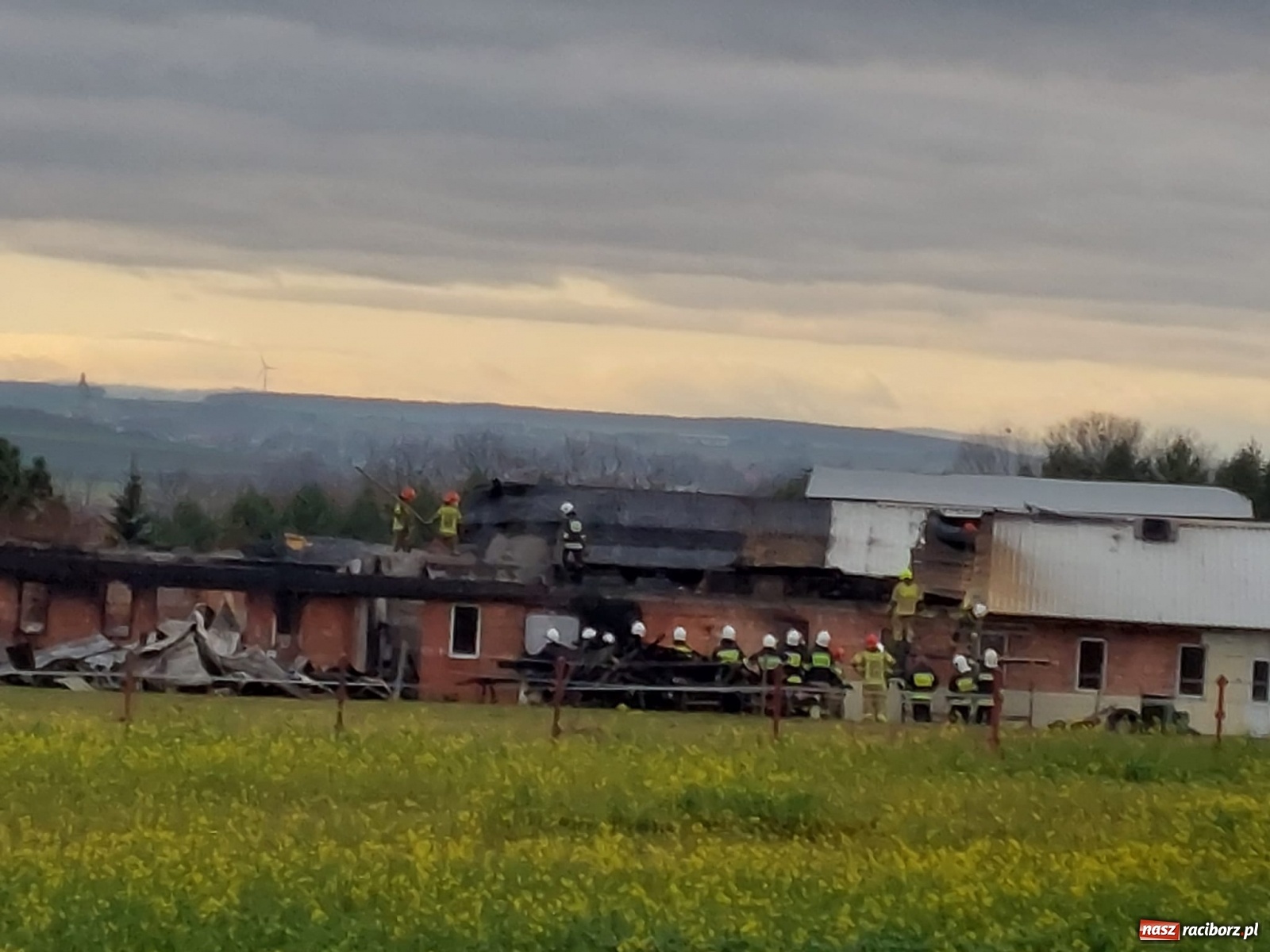 Zdjęcie w galerii na portalu naszraciborz.pl: Wielki pożar w Bieńkowicach. Spłonęły zwierzęta [FOTO] wiadomości z regionu