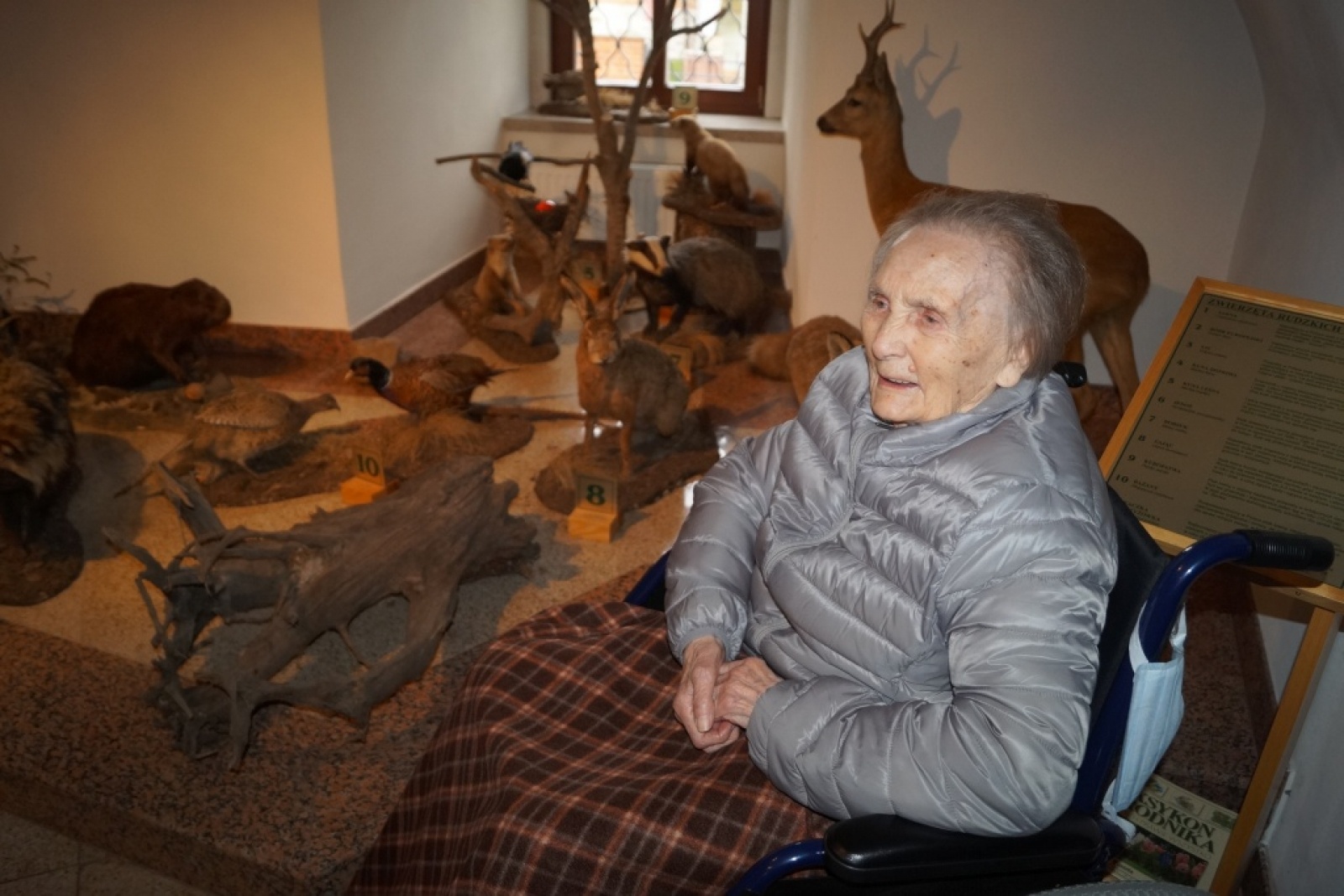 Zdjęcie w galerii na portalu naszraciborz.pl: Jubileusz 100. urodzin pani Agnieszki Potyki - wieloletniej mieszkanki DPS Złota Jesień w Raciborzu wiadomości z regionu