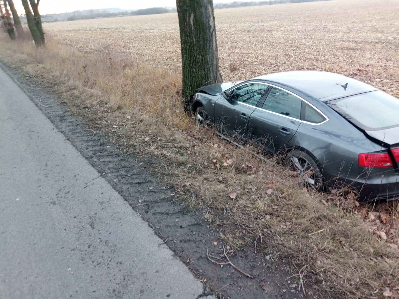 Zdjęcie w galerii na portalu naszraciborz.pl: Mercedes i audi z powiatu raciborskiego zderzyły się na trasie Buków-Syrynia wiadomości z regionu