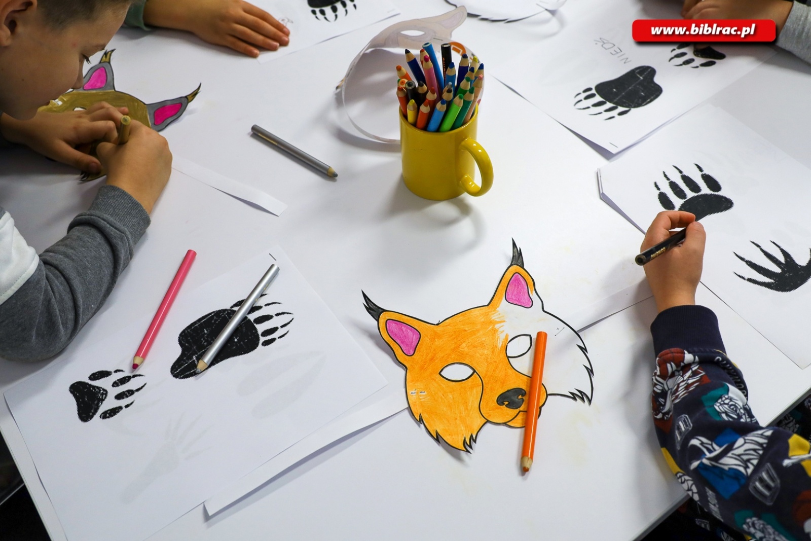 Zdjęcie w galerii na portalu naszraciborz.pl: Spotkanie z ekologią w raciborskiej książnicy wiadomości z regionu