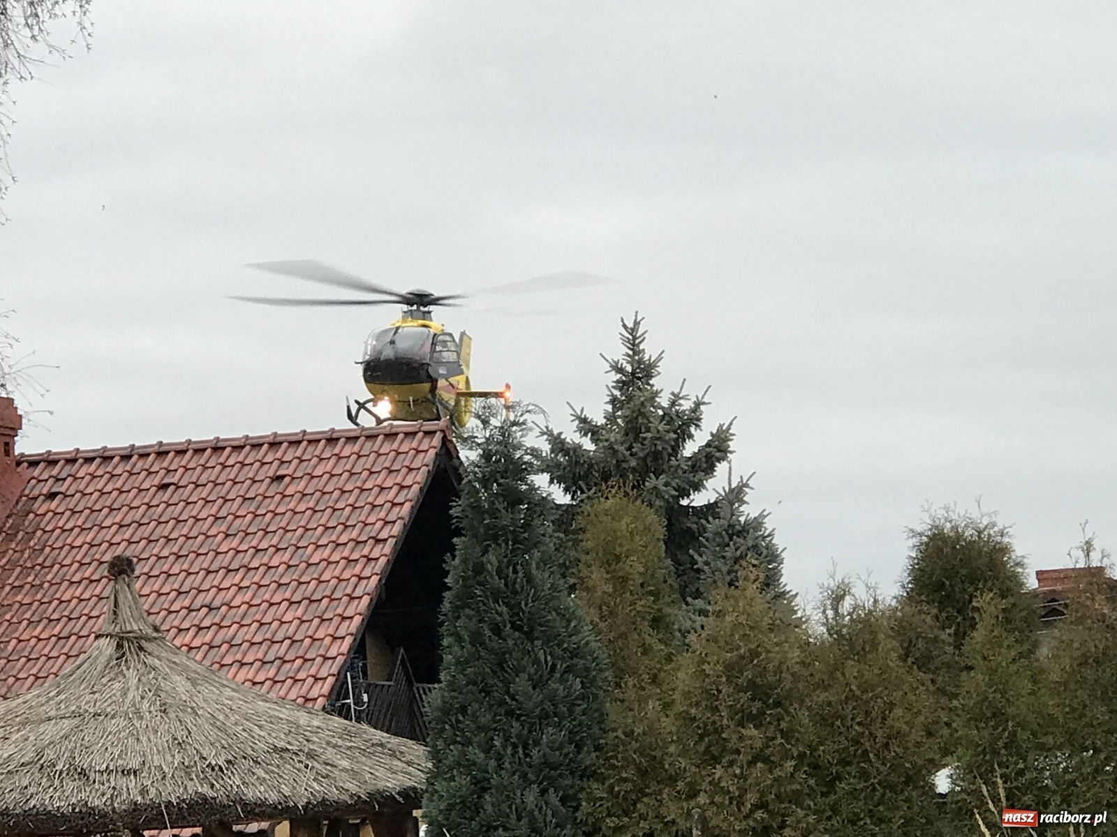 Zdjęcie w galerii na portalu naszraciborz.pl: Śmigłowiec LPR w akcji w Pogrzebieniu [FOTO i WIDEO] wiadomości z regionu