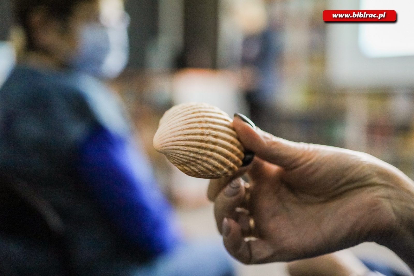 Zdjęcie w galerii na portalu naszraciborz.pl: Krzysztof Jeremicz opowiedział o swojej Drodze św. Jakuba wiadomości z regionu