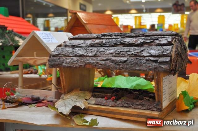 Zdjęcie w galerii na portalu naszraciborz.pl: Przedszkolaki pomagają ptakom wiadomości z regionu
