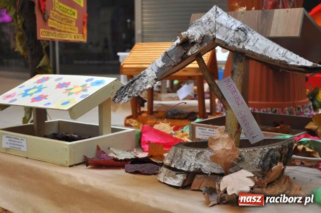 Zdjęcie w galerii na portalu naszraciborz.pl: Przedszkolaki pomagają ptakom wiadomości z regionu