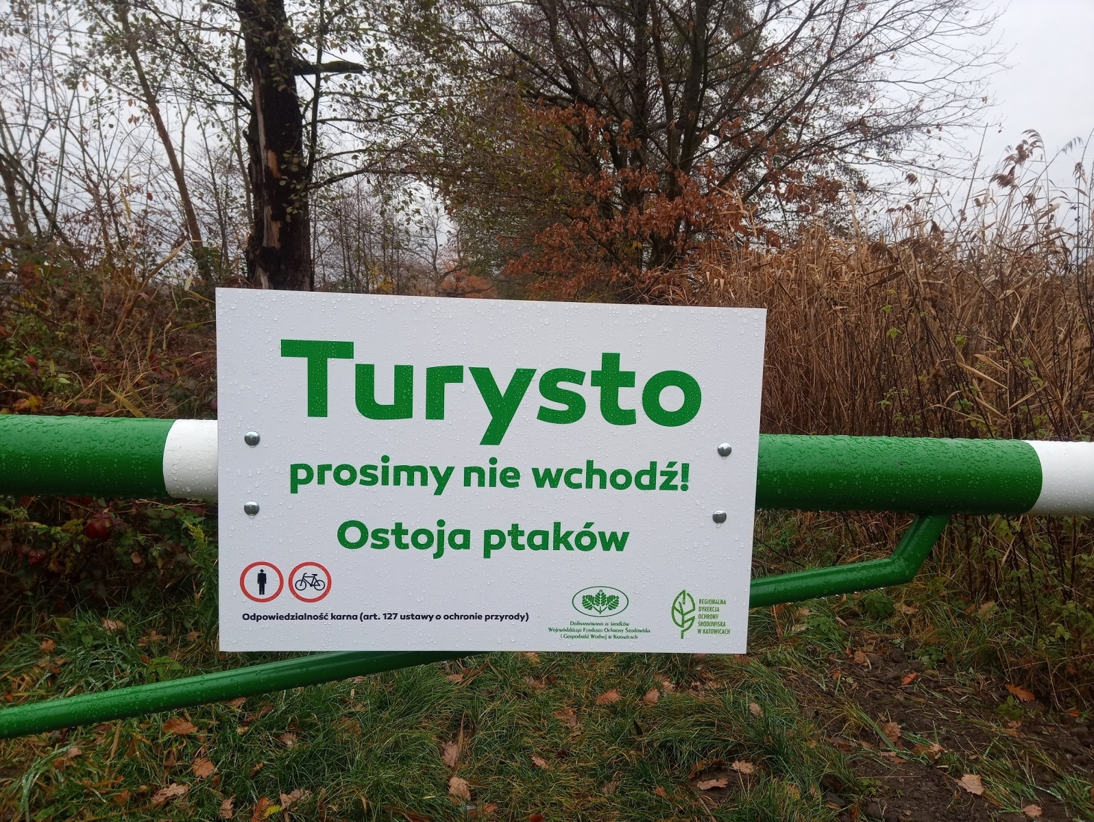 Zdjęcie w galerii na portalu naszraciborz.pl: W rezerwacie Łężczok ustawiono bariery wiadomości z regionu