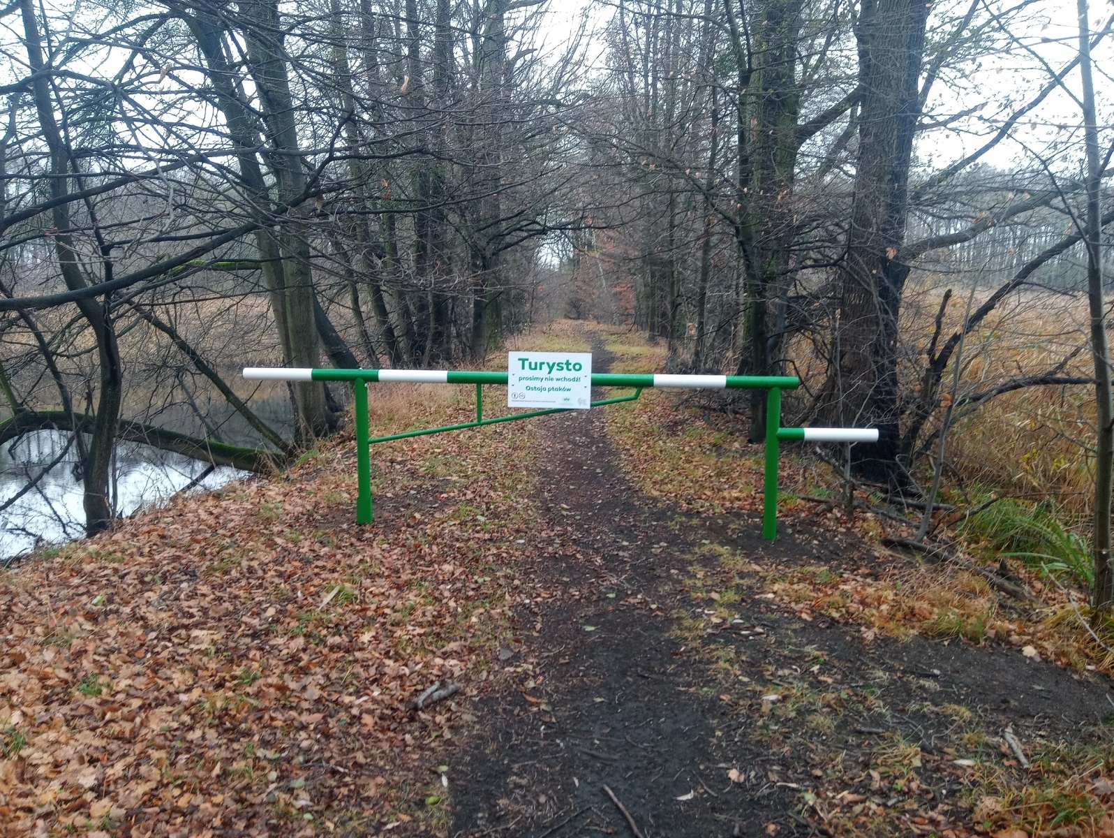 Zdjęcie w galerii na portalu naszraciborz.pl: W rezerwacie Łężczok ustawiono bariery wiadomości z regionu