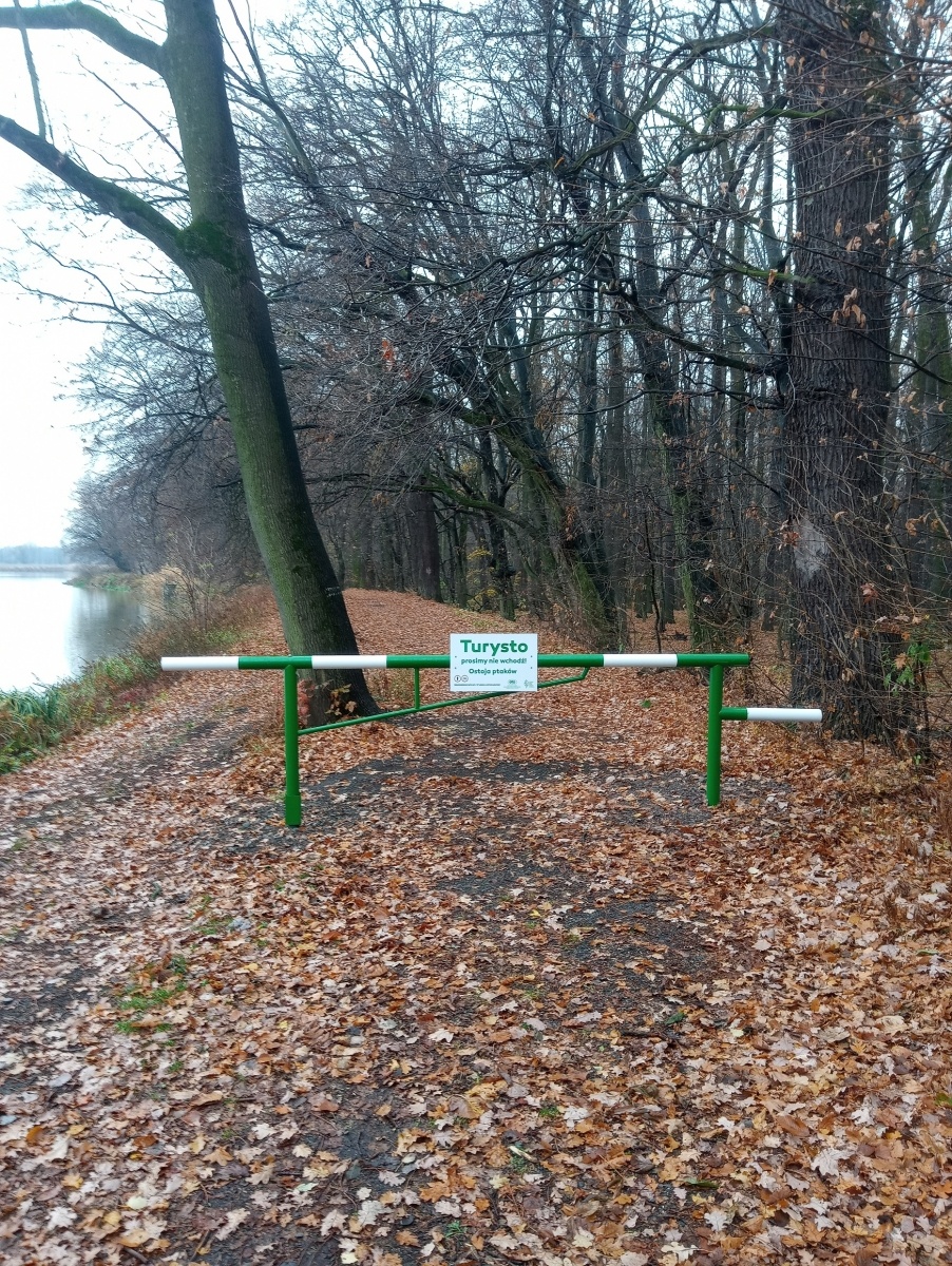 Zdjęcie w galerii na portalu naszraciborz.pl: W rezerwacie Łężczok ustawiono bariery wiadomości z regionu