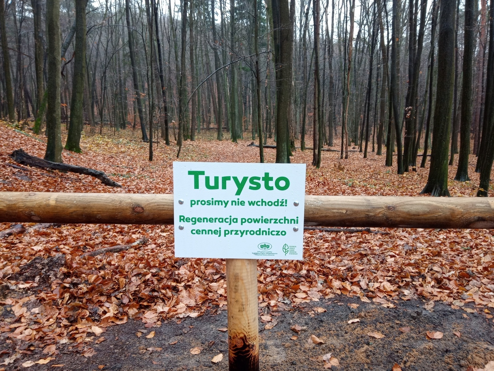 Zdjęcie w galerii na portalu naszraciborz.pl: W rezerwacie Łężczok ustawiono bariery wiadomości z regionu