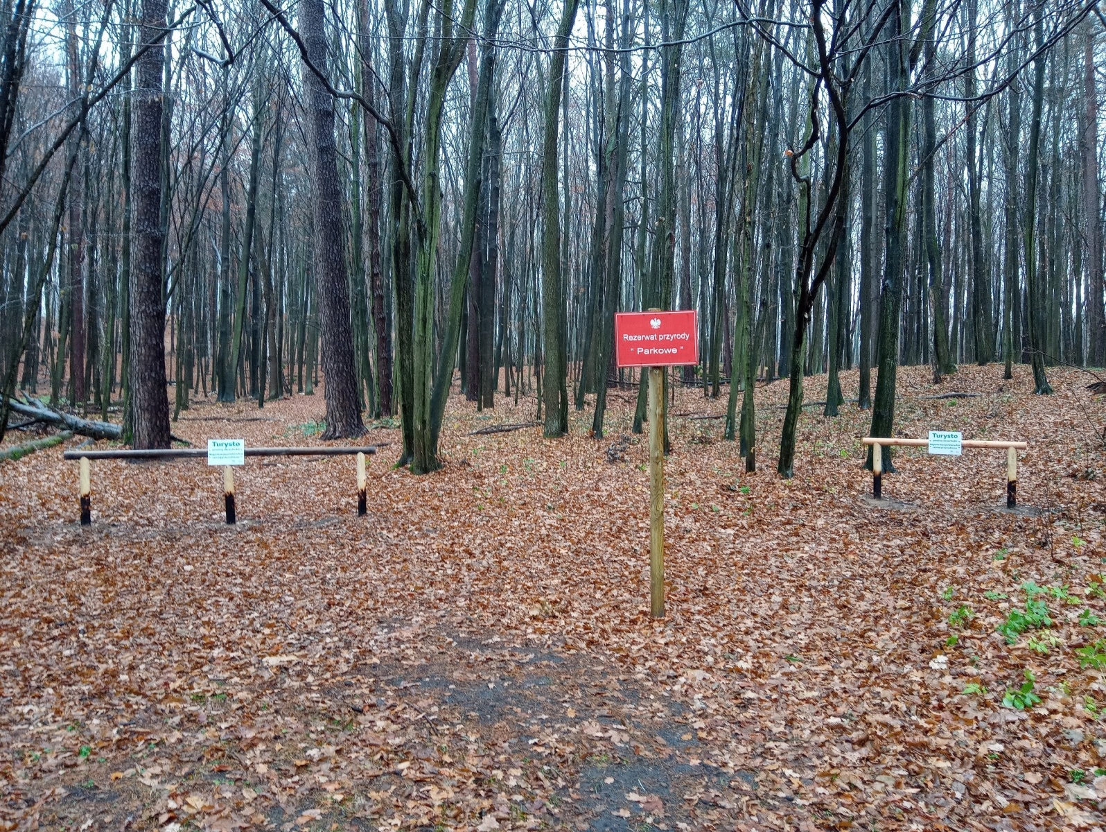 Zdjęcie w galerii na portalu naszraciborz.pl: W rezerwacie Łężczok ustawiono bariery wiadomości z regionu